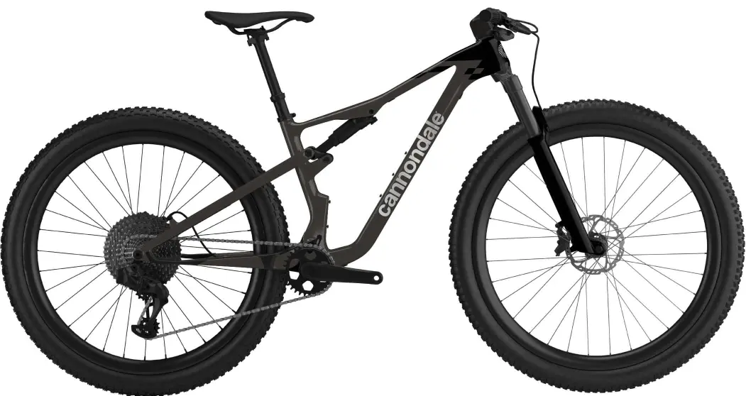 Cannondale scalpel 4 29er sale